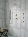 Delta Ara:T17T267 TempAssure 17T Series H2Okinetic Shower Trim