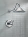 Delta Cassidy:T17T297 TempAssure 17T Series Shower Trim
