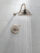 Delta Cassidy:T17T297 TempAssure 17T Series Shower Trim