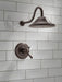Delta Cassidy:T17T297 TempAssure 17T Series Shower Trim