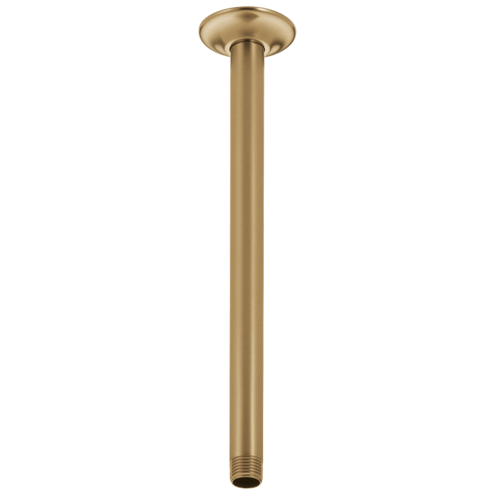 Shower Arm & Flange 14" Ceiling Mount