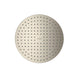 AXOR ShowerSolutions Showerhead 250 2-Jet, 1.75 GPM