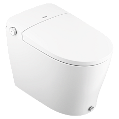 Moen Bidet Faucet