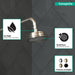 Hansgrohe Croma 100 Classic Showerhead 3-Jet, 2.5 GPM
