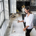 Hansgrohe Locarno Semi-Pro Kitchen Faucet, 2-Spray, 1.75 GPM