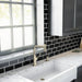 hansgrohe Locarno Soap Dispenser, polished nickel - view 2