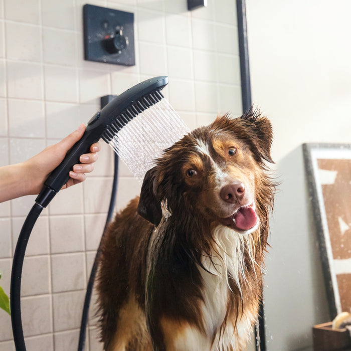 Hansgrohe Dog Shower Dog Shower + Quick Connect, 3-Spray, 1.75 GPM,