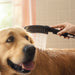 Hansgrohe Dog Shower Dog Shower + Quick Connect, 3-Spray, 1.75 GPM,