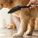 Hansgrohe Dog Shower Dog Shower + Quick Connect, 3-Spray, 1.75 GPM,