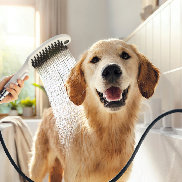hansgrohe Dog Shower Dog Shower + Quick Connect, 3-Spray, 1.75 GPM,