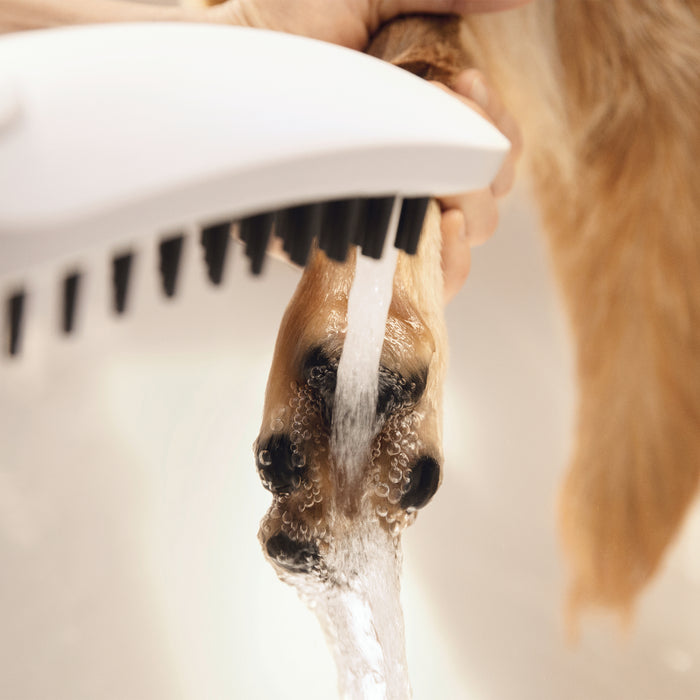 hansgrohe Dog Shower Dog Shower + Quick Connect, 3-Spray, 1.75 GPM,
