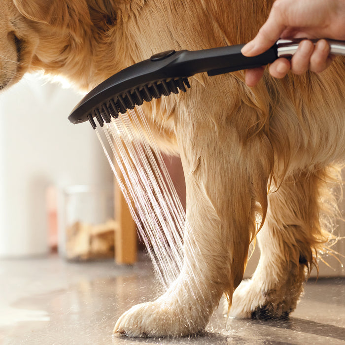 hansgrohe Dog Shower Dog Shower Bundle, 3-Spray, 1.75 GPM