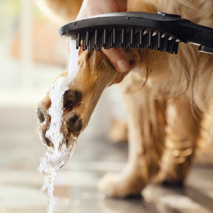 hansgrohe Dog Shower Dog Shower Bundle, 3-Spray, 1.75 GPM