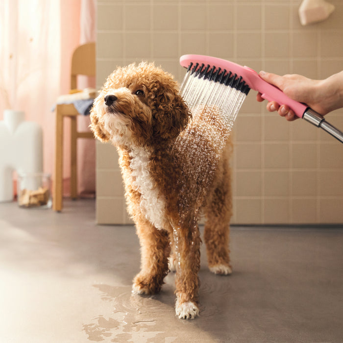 hansgrohe Dog Shower Dog Shower Bundle, 3-Spray, 1.75 GPM