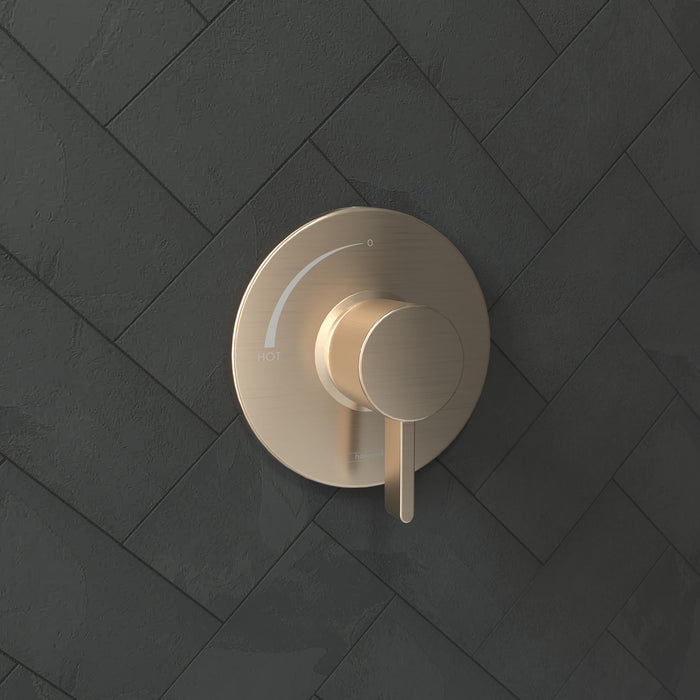 Hansgrohe Ecostat S Pressure Balance Trim