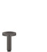 Hansgrohe Raindance E Extension Pipe for Ceiling Mount