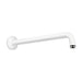 Hansgrohe Showerarm Raindance 15"