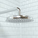 Hansgrohe Raindance Classic Showerhead 180 1-Jet, 2.5 GPM