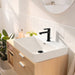 Hansgrohe Rebris S Single-Hole Faucet 110 with Pop-Up Drain, 1.2 GPM