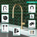 Hansgrohe Talis N HighArc Kitchen Faucet, O-Style 2-Spray Pull-Down, 1.75 GPM