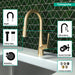 Hansgrohe Talis S HighArc Kitchen Faucet, 2-Spray Pull-Down, 1.75 GPM