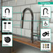 Hansgrohe Talis N HighArc Kitchen Faucet, A-Style 2-Spray Pull-Down, 1.75 GPM