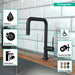 Hansgrohe Talis N Kitchen Faucet, U-Style 1-Spray, 1.5 GPM