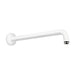 hansgrohe  Showerarm Raindance 15"