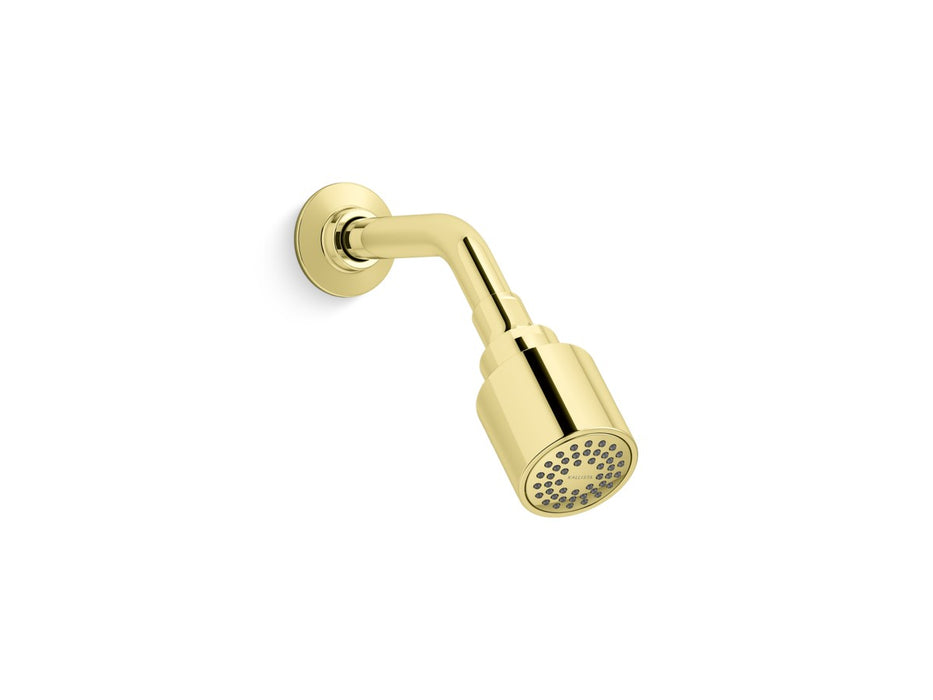 Kallista P21386-00 Central Park West Showerhead With Arm