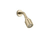 Kallista P24482-00 One Showerhead With Arm