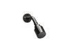 Kallista P24482-00 One Showerhead With Arm