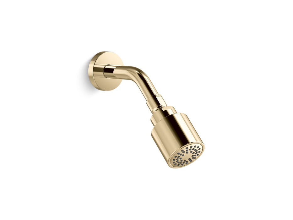 Kallista P24482-00 One Showerhead With Arm