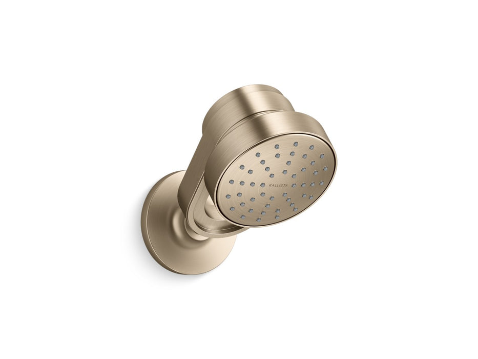 Kallista P30529-00 Bandeau Showerhead Standard
