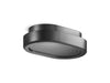 Kallista P30530-00 Bandeau Rain Showerhead