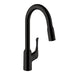 hansgrohe Allegro N HighArc Kitchen Faucet, 2-Spray Pull-Down, 1.75 GPM