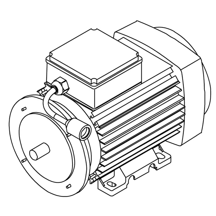 KOHLER K-1016958 Motor Assembly, Var. Spd, 230V