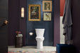 KOHLER K-20197-RA Betello Two-piece elongated toilet with skirted trapway, 1.28 gpf