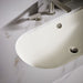 KOHLER K-20213-B Iron Plains 33" oval drop-in/undermount/vessel bathroom sink with Biscuit painted underside