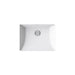 KOHLER K-21058 Brazn 21-1/4" Rectangular Undermount Bathroom Sink