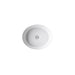 KOHLER K-21782 Artifacts 21-1/4" Oval Undermount Bathroom Sink