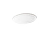 KOHLER K-21782 Artifacts 21-1/4" Oval Undermount Bathroom Sink