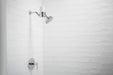 KOHLER K-22321 Aquifer Showerhead filter