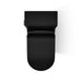 Kohler Brazn One-piece compact elongated toilet with skirted trapway, dual-flush