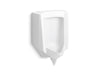 KOHLER K-25048-ER Stanwell Blow-out half-stall 0.5–1.0 gpf urinal, rear spud