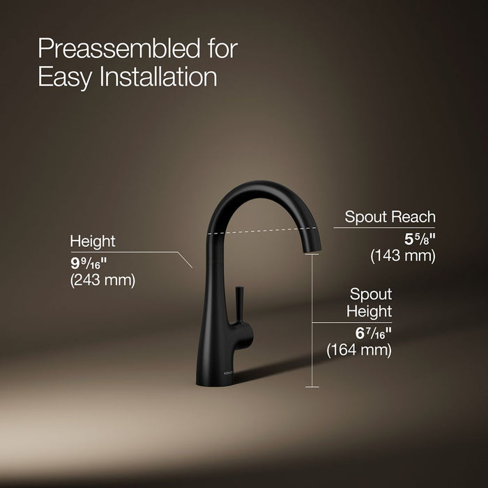 Kohler Transitional beverage faucet