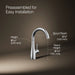 Kohler Transitional beverage faucet