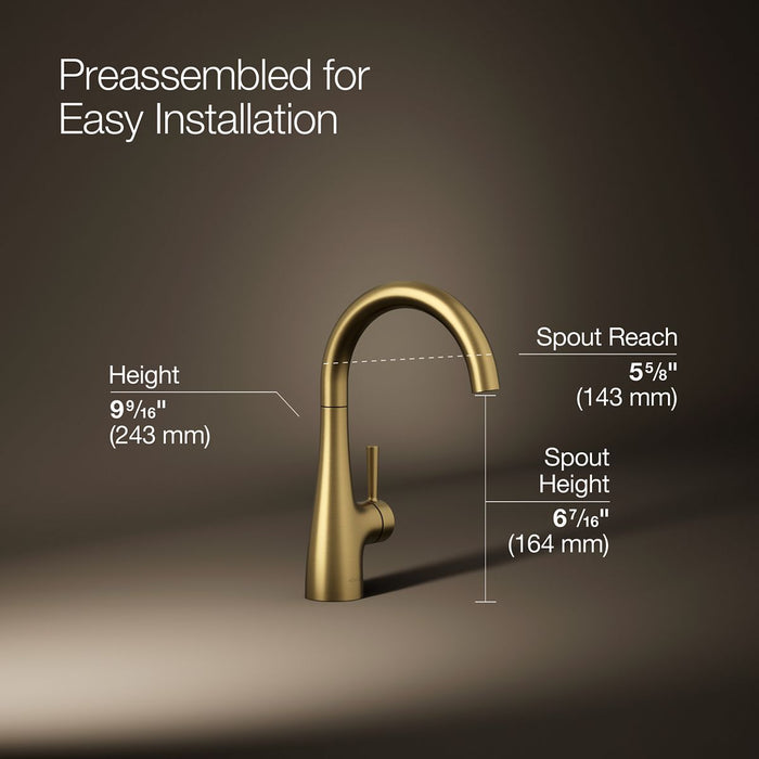 Kohler Transitional beverage faucet