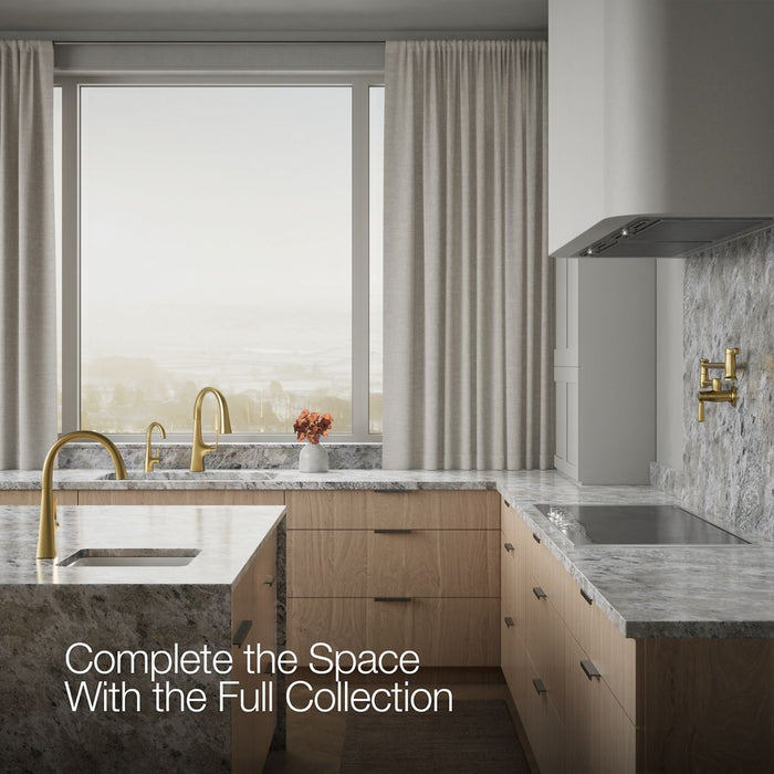 Kohler Transitional beverage faucet
