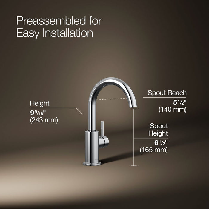 Kohler Contemporary Beverage faucet