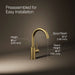 Kohler Contemporary Beverage faucet